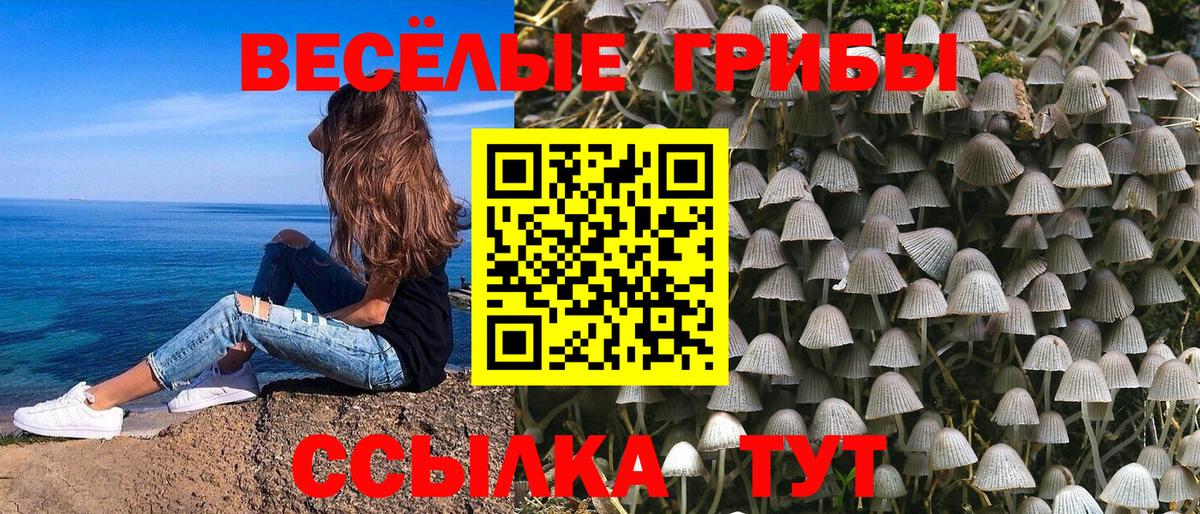 Красноперекопск  Псилоцибиновые грибы ЛСД  Вход с VPN 